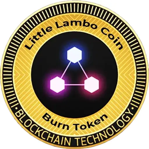 LLC Burn Token