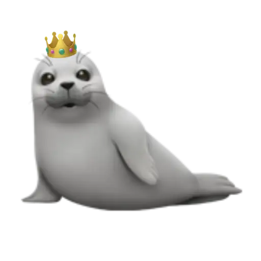 Seals