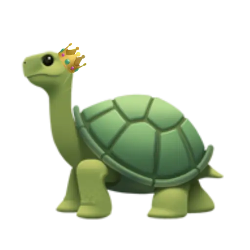 Turtles