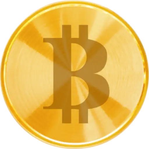 Bitcoin Merch Batch 1 Coin