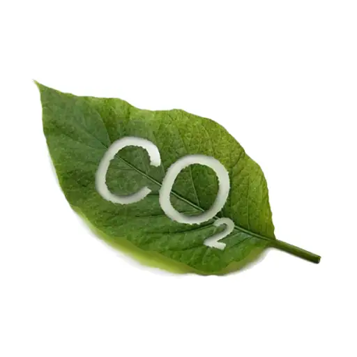 Carbon Coin