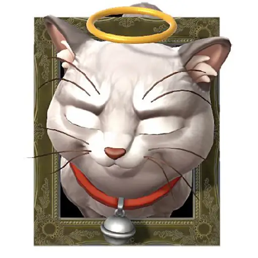 Compassion CAT – Angel