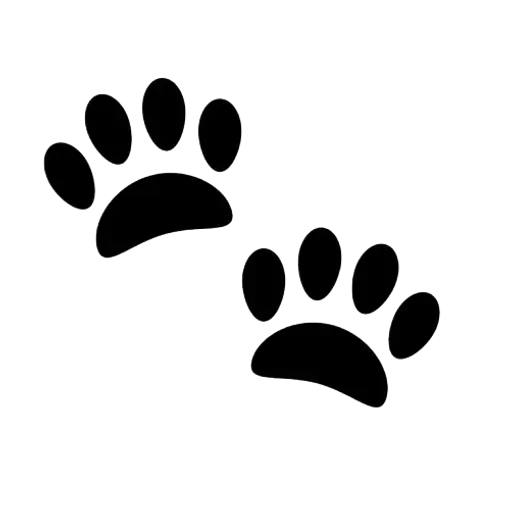 🐾