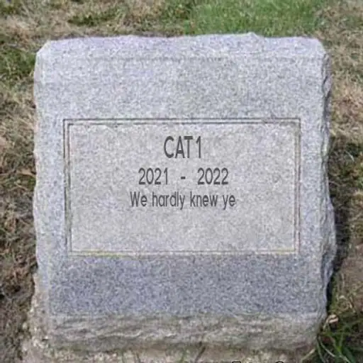 CAT1 Memorial Token