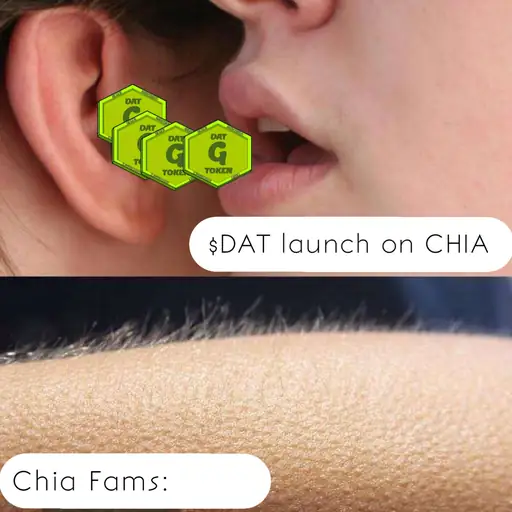 DAT MEME TOKEN