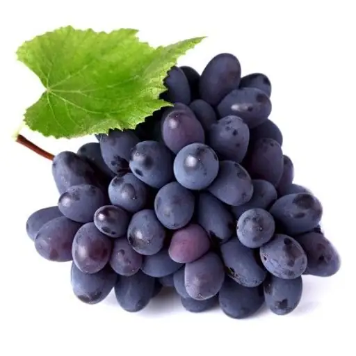 APULIA GRAPES