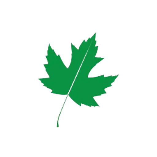 CNAR Token
